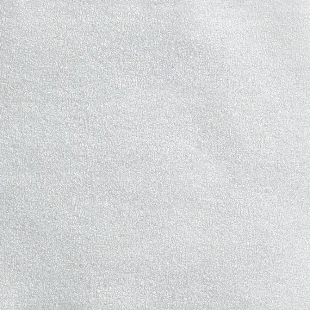 Pacific Blue Recycled Jumbo Jr. Toilet Paper, 2-Ply, White, 1000 ft./Roll, 8 Rolls/Carton (12798)<Pacific Blue Basic Best