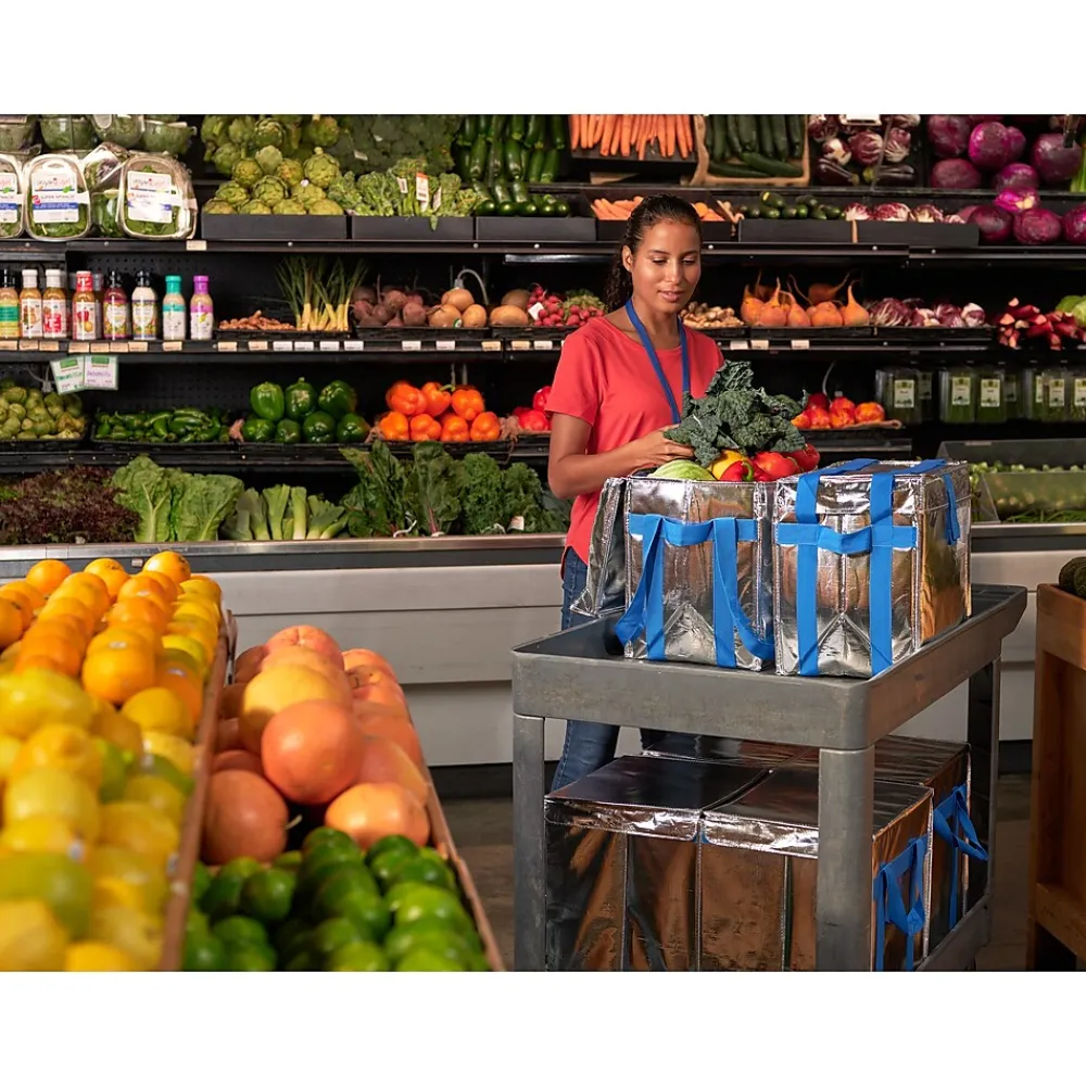 PACKiT Fresh Eco Freeze Tote, Large, Silver/Blue, 4/Carton (PKF-UD-MAG)