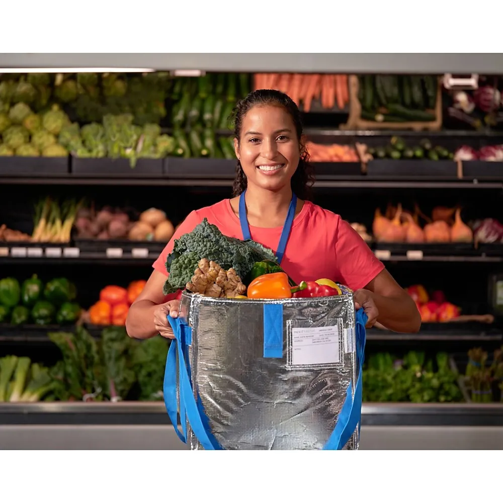 PACKiT Fresh Eco Freeze Tote, Large, Silver/Blue, 4/Carton (PKF-UD-MAG)