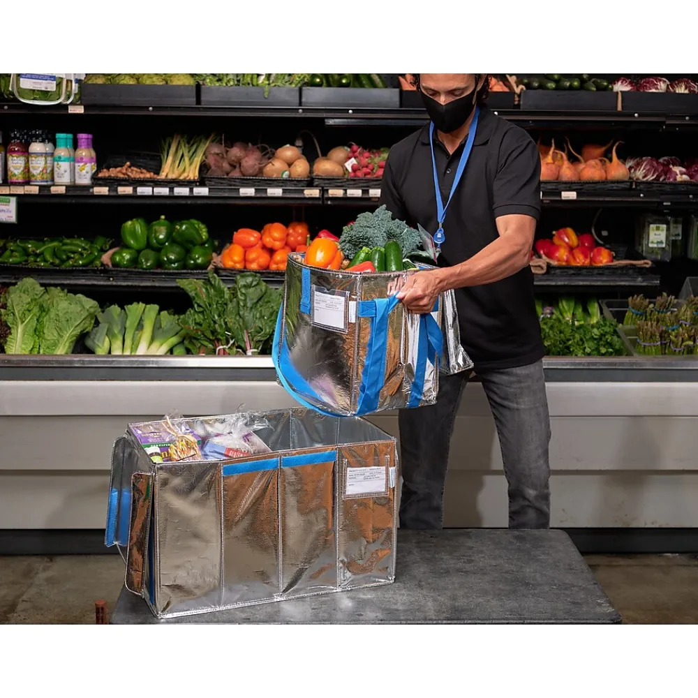 PACKiT Fresh Eco Freeze Tote, Large, Silver/Blue, 4/Carton (PKF-UD-MAG)