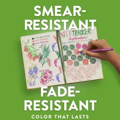 Pens|Paper Mate Flair Felt Pen, Medium Point, 0.7mm, Purple Ink, Dozen (8450152)