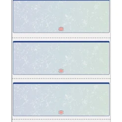 Security & Carbon*Paris DocuGard 8.5" x 11" Business Security Check In Middle, 24 lbs., Blue, 500 Sheets/Ream (PRB04539)