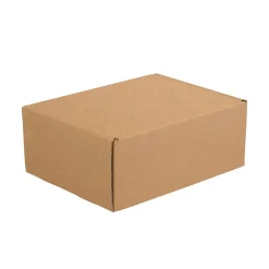 Hot Partners Brand Deluxe Literature Mailers, 11 1/8