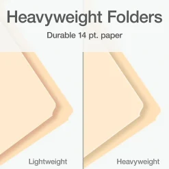File Folders|Pendaflex Heavy Duty File Folder, 1/3-Cut Tab, Letter Size, 100/Box (1007080)