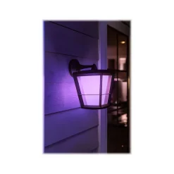 Philips Econic Hue LED Wall Outdoor Light, Glass (1744030V7)