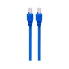 Philips Elite 3' RJ45 to RJ45 Cable, Male to Male, Blue