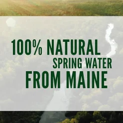 Poland Spring 100% Natural Spring Water, Regular Flavor, 16.9 oz., 24/Carton (12119419)