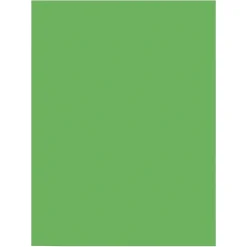 Construction Paper*Prang 9