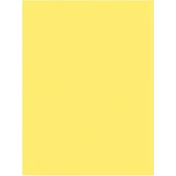 Construction Paper*Prang 9