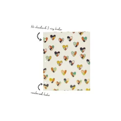 Pocket Folders|Pukka Pad Carpe Diem Floral Love 3-Hole Punched 2-Pocket Portfolio Folders, Assorted Colors, 6/Pack (9098-CD)