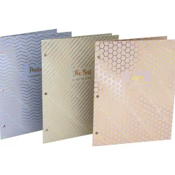 Pocket Folders|Pukka Pad Haze 3-Hole Punched 2-Pocket Cardstock Portfolio Folders, Assorted Colors, 6/Pack (9980(AST)-HZE)