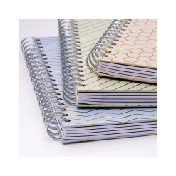 Subject Notebooks|Pukka Pad Haze 5-Subject Notebooks, 7.4