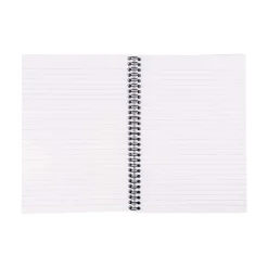 Notebooks|Pukka Pad Metallic Jotta Professional Notebooks, 6.9