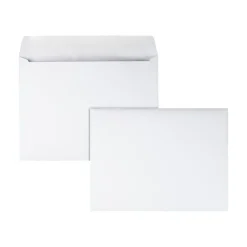Online Quality Park Gummed Booklet Envelopes, 9