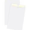 New Quality Park Gummed Catalog Envelope, 6" x 9", Woven White, 500/Box (40788)