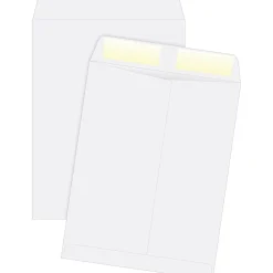 Best Quality Park Gummed Catalog Envelope, 10" x 13", Woven White, 250/Box (41688)