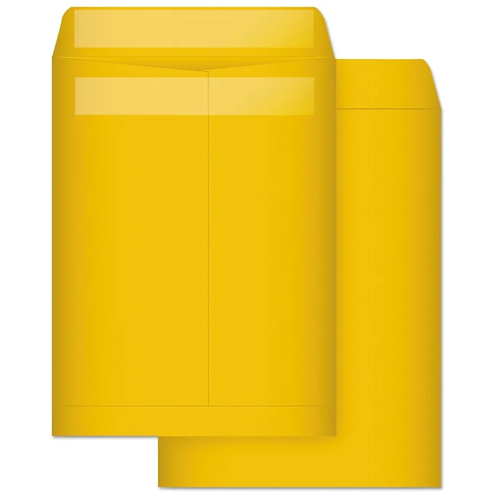 Quality Park Self Seal Kraft Catalog Envelope, 9" x 12", Brown, 100/Box (QUA43563)