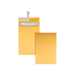 Best Quality Park Self Seal Kraft Catalog Envelopes, 10