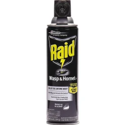 Raid Wasp and Hornet Killer, 14 oz. Aerosol Spray, 12/Carton (SJN668006)