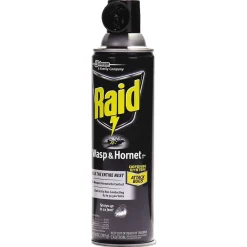 Raid Wasp and Hornet Killer, 14 oz. Aerosol Spray, 12/Carton (SJN668006)