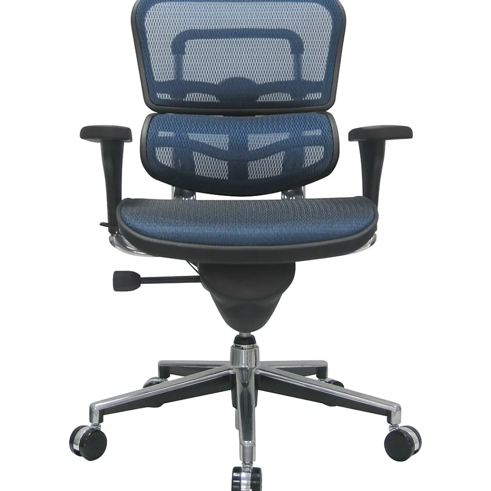 Office Chairs*RAYNOR GROUP Raynor Eurotech Ergo human Mesh Mid Back Task Chair, Blue