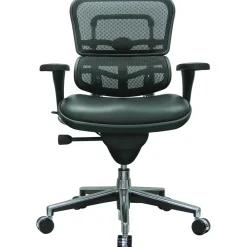 Office Chairs*Eurotech Raynor Mesh/Leather Mid Back Ergo human Chair, Black