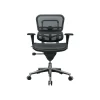 Office Chairs*RAYNOR GROUP Raynor Low Back Mesh Task Chair, Black (ME8ERGLO(N))