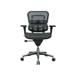 Office Chairs*RAYNOR GROUP Raynor Low Back Mesh Task Chair, Black (ME8ERGLO(N))