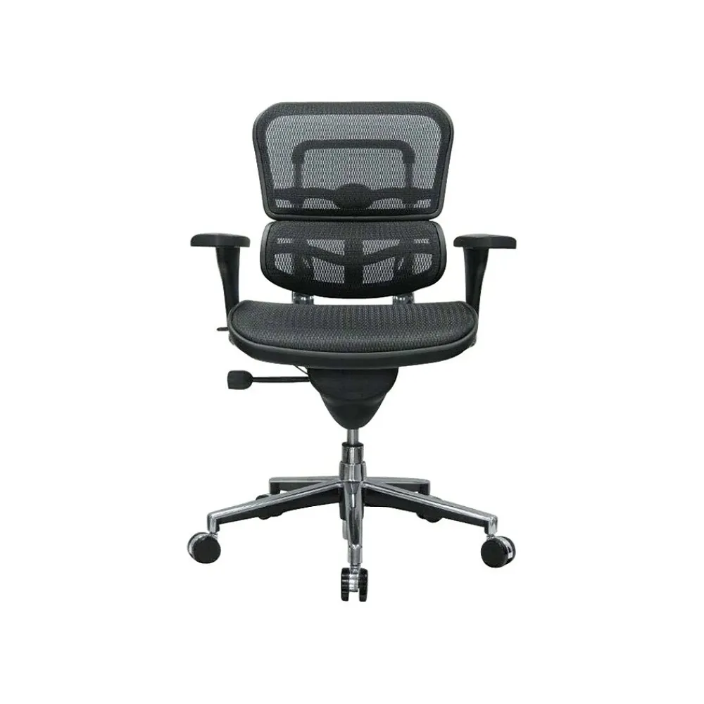 Office Chairs*RAYNOR GROUP Raynor Low Back Mesh Task Chair, Black (ME8ERGLO(N))