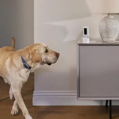 Ring Pan-Tilt Indoor Wired Security Camera, White (B0CG2VS5FD)