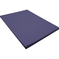 Construction Paper*Riverside 3D 9" x 12" Construction Paper, Dark Blue, 50 Sheets (P103601)