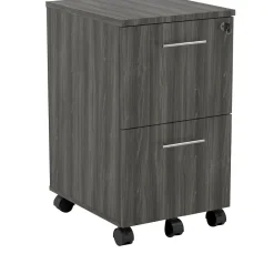 File Cabinets*Safco Medina 2-Drawer Mobile Vertical File Cabinet, Letter Size, Lockable, 26.75"H x 15.5"W x 18"D, Gray (MNFFLGS)