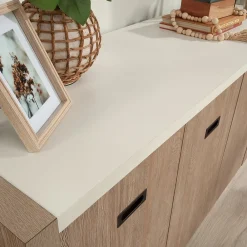 Storage Cabinets*Sauder Dixon City 30