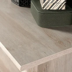 Storage Cabinets*Sauder Edge Water 60