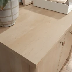 Storage Cabinets*Sauder Whitaker Point 30