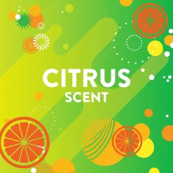 Bathroom Grime Fighter Cleaner, Citrus, 32 Oz. (306111)<Scrubbing bubbles Discount