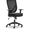 Office Chairs*Serta Works Mesh Back Polyester Computer and Desk Chair, Black (CHR10021A)