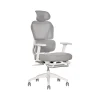 Office Chairs*Sharper Image S-850 Ergonomic Mesh Swivel Computer and Desk Chair, Light Gray/White (60106-LGRYWHT)