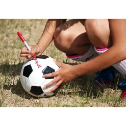 Markers|Sharpie Extreme Permanent Markers, Fine Tip, Black, 12/Pack (1927432)