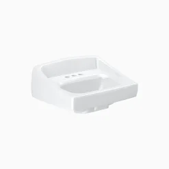 Sloan Single Basin Wall Mount VItreous China Lavatory Sink (3873003)