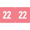 Labels|Smead ETS 2022 Color-Coded Year Label, 0.5”H x 1" W, White on Pink, 25 Labels/Sheet, 10 Sheets/Pack, 250 Labels/Pack (67922)