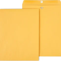 Best Staples Clasp & Moistenable Glue #15.5 Kraft Catalog Envelopes, 12" x 15.5", Brown, 100/Box (472902/19273)