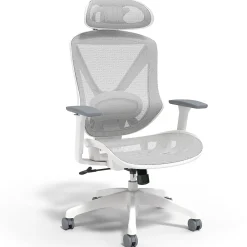 Office Chairs*Staples Dexley Ergonomic Mesh Swivel Task Chair, (UN61365) Gray