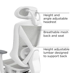 Office Chairs*Staples Dexley Ergonomic Mesh Swivel Task Chair, (UN61365) Gray