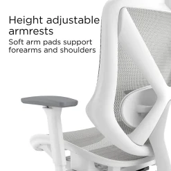 Ergonomic Chairs*Staples Dexley Ergonomic Mesh Swivel Task Chair, (UN61365) Gray