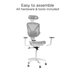 Ergonomic Chairs*Staples Dexley Ergonomic Mesh Swivel Task Chair, (UN61365) Gray
