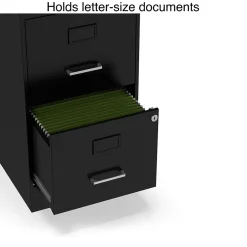 File Cabinets*Staples 2-Drawer Light Duty Vertical File Cabinet, Locking, Letter, Black, 18