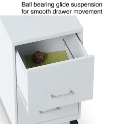 File Cabinets*Staples 2-Drawer Mobile Vertical File Cabinet, Letter Size, Lockable, 26.3