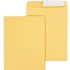 Best Staples EasyClose Kraft Catalog Envelopes, 10"L x 13"H, Brown, 100/Box (381969/19023)