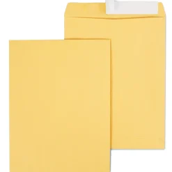 Best Staples EasyClose Kraft Catalog Envelopes, 10"L x 13"H, Brown, 100/Box (381969/19023)